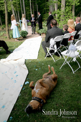 Best Annapolis Wedding photographer - Sandra Johnson (SJFoto.com)